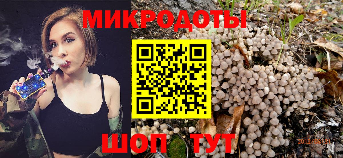 Краснотурьинск  где продают наркотики  Вход с VPN  Псилоцибиновые грибы GOLDEN TEACHER  Галлюциногенные грибы MAGIC MUSHROOMS 